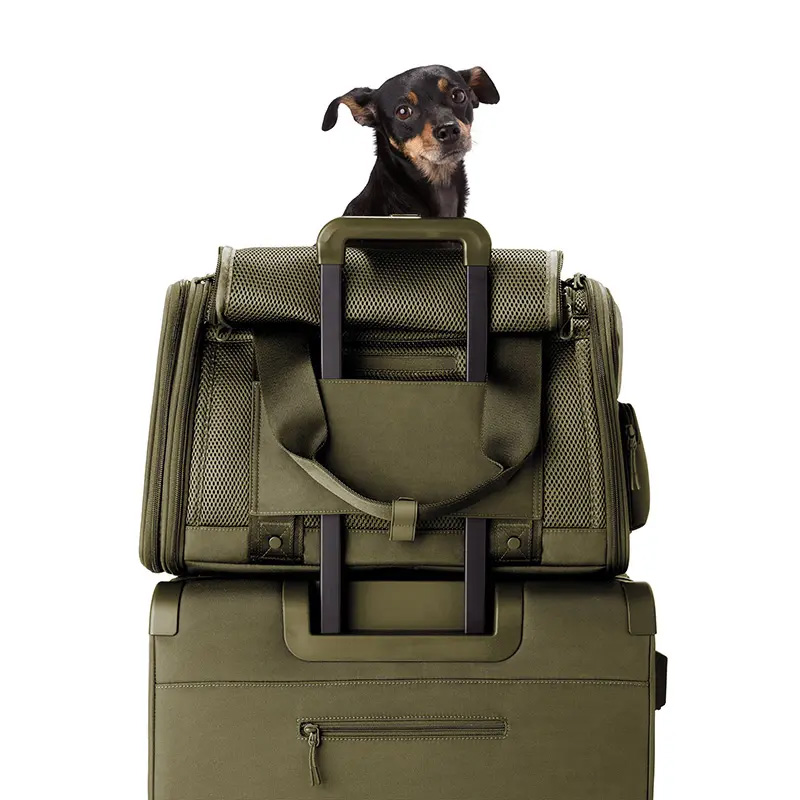 OEM Eco-friendly soft sided dog carrier bag for pet vendor